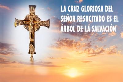 EXALTACIÓN DE LA SANTA CRUZ