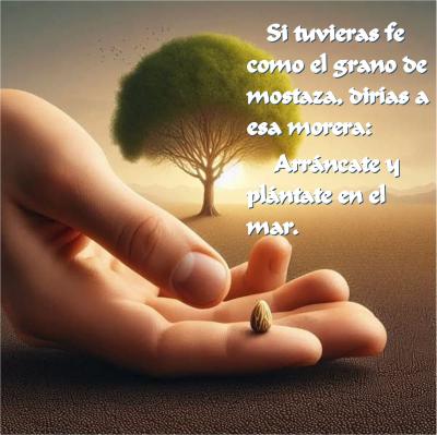 DOMINGO XXVII DE TIEMPO ORDINARIO -C-