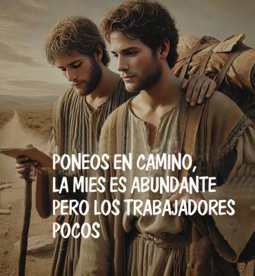 DOMINGO XI DE TIEMPO ORDINARIO -A-